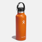 Standard Mouth 18 OZ בקבוק שתיה